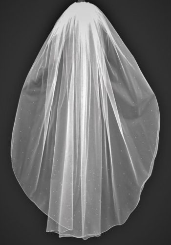 V308 D Veil