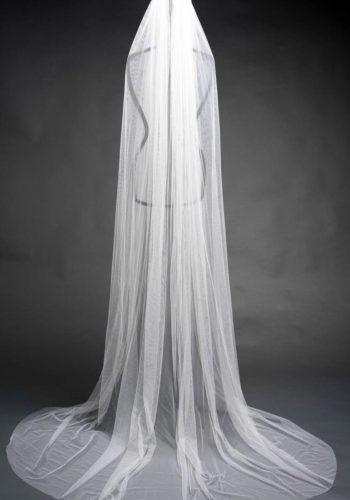 V5694 D Veil