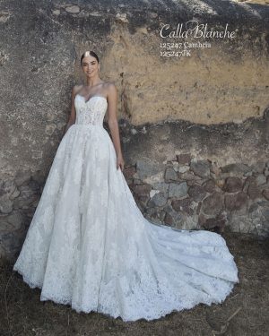 Calla Blanche Cambria