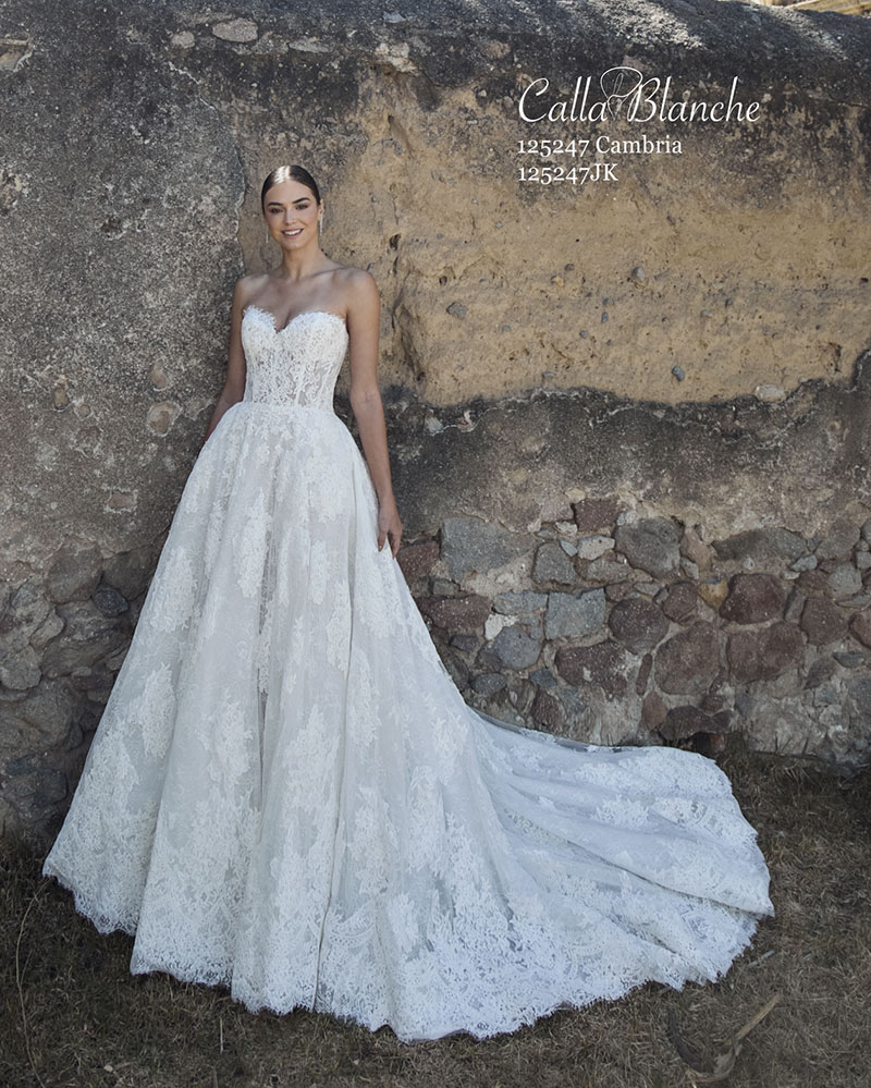 Calla Blanche Cambria